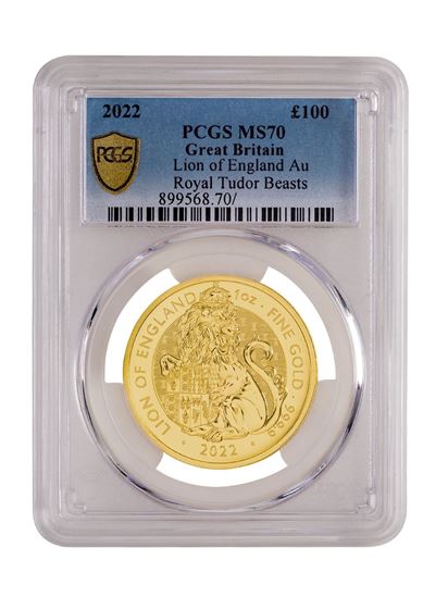 NGC 1oz Tudor Beast coin MS65+