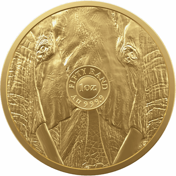 2025 1oz South African 'Big 5' - Elephant Gold Coin - Image 2