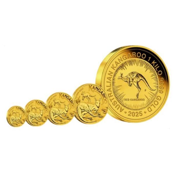 2022 1oz Kangaroo Gold Coin - Image 4