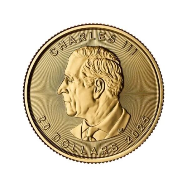 2025 1/2oz 24k Gold Canadian Maple Leaf - Image 2